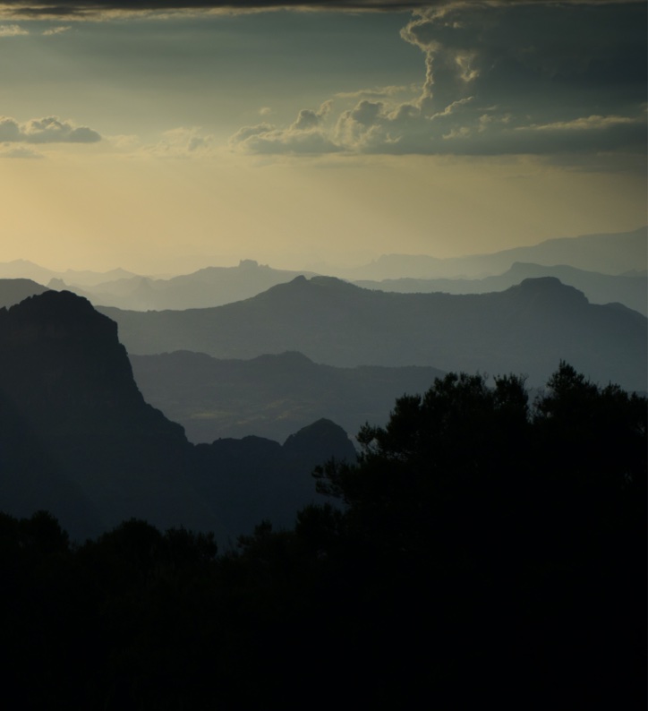 Africa landscape